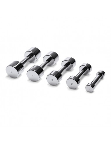 Haltère Dumbbell chrome 2kgs